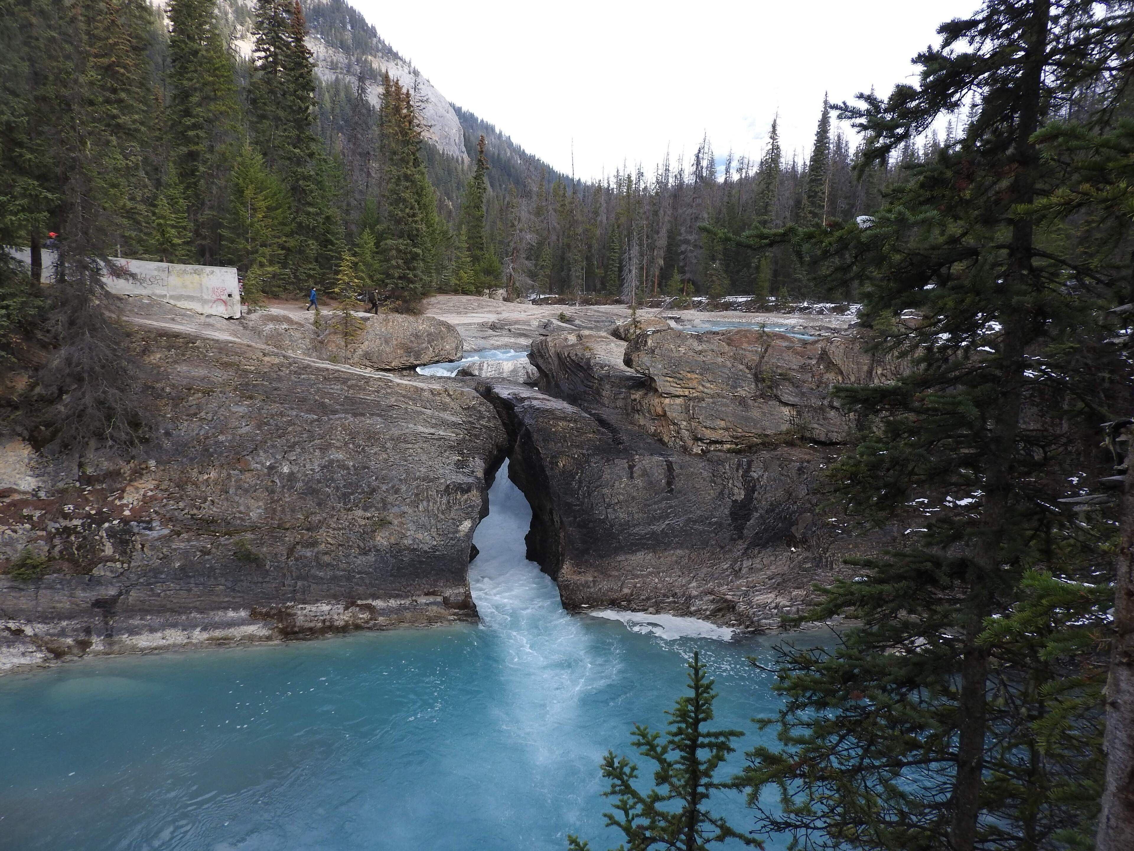 Natural Bridge, in Yoho National Park, is an impressive natural rock formation that spans the flow of the Kicking Horse River west of Field, where the slower-moving waters from the Field valley flats begin their descent through a canyon to be joined by the Amiskwi River.
#GreatOutdoors #Nature
