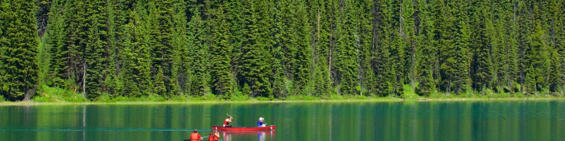 Yoho National Park which includes kayaking or canoeing, forests and a lake or waterhole