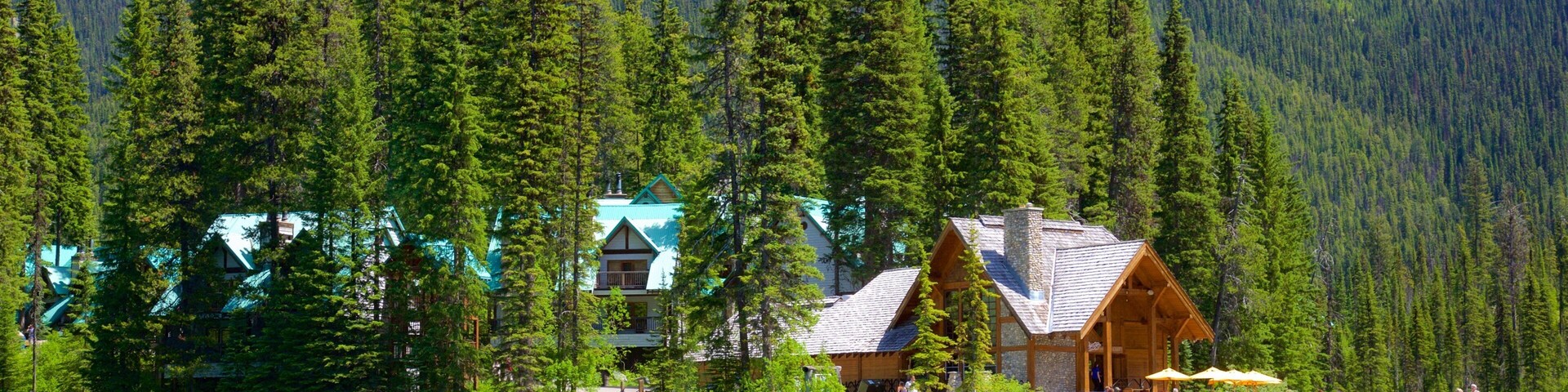 Emerald Lake showing a lake or waterhole, kayaking or canoeing and a small town or village
