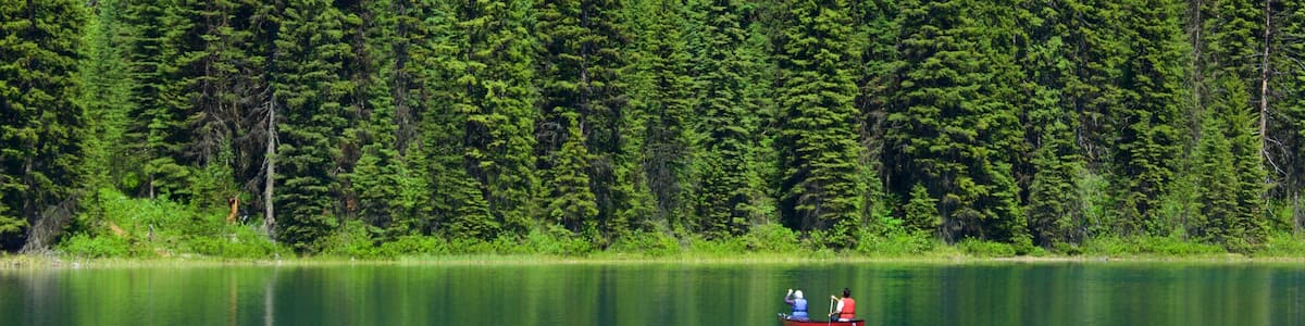 Yoho National Park das einen See oder Wasserstelle, Kajak- oder Kanufahren und Waldmotive