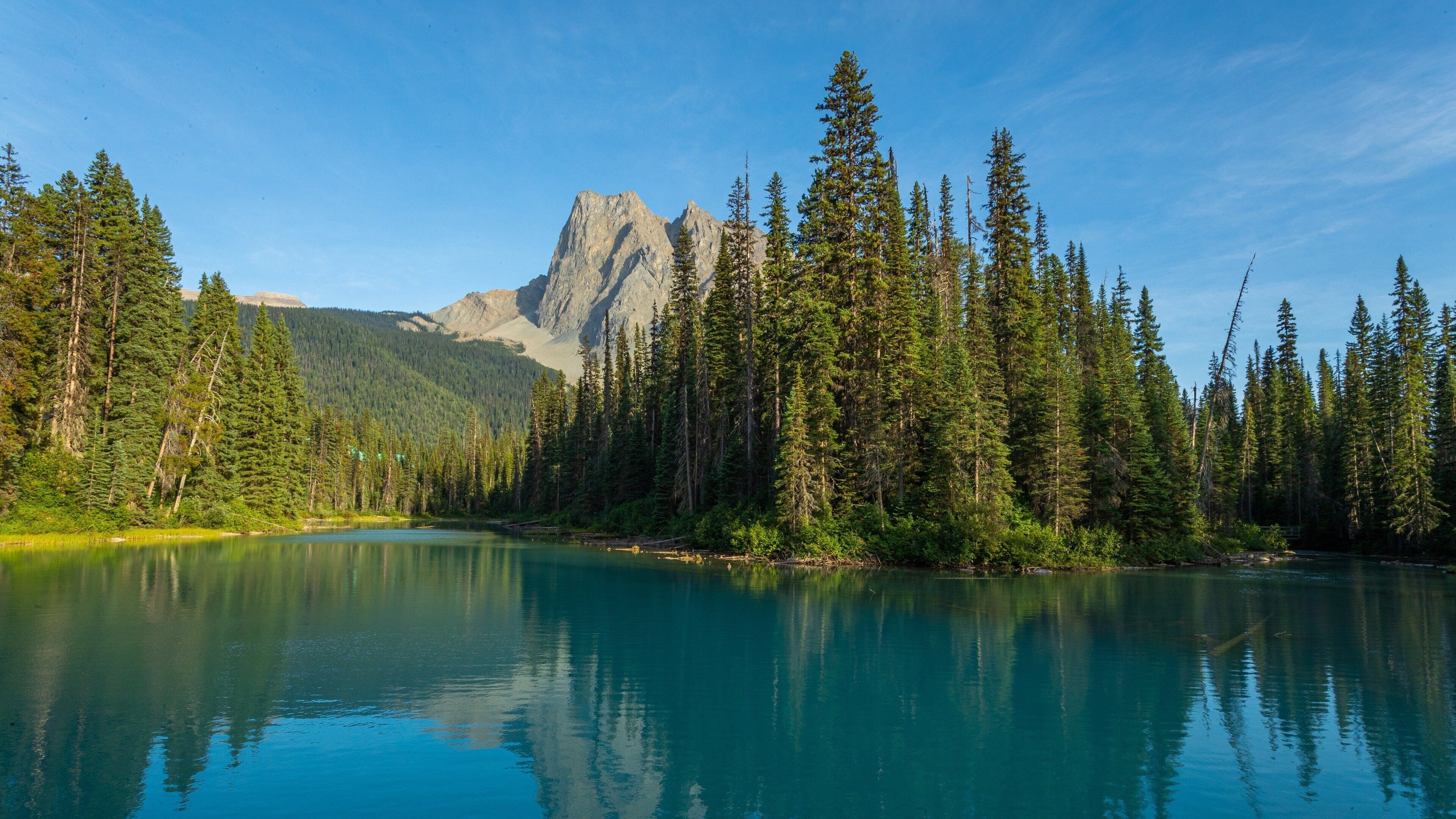 Emerald Lake which includes a lake or waterhole