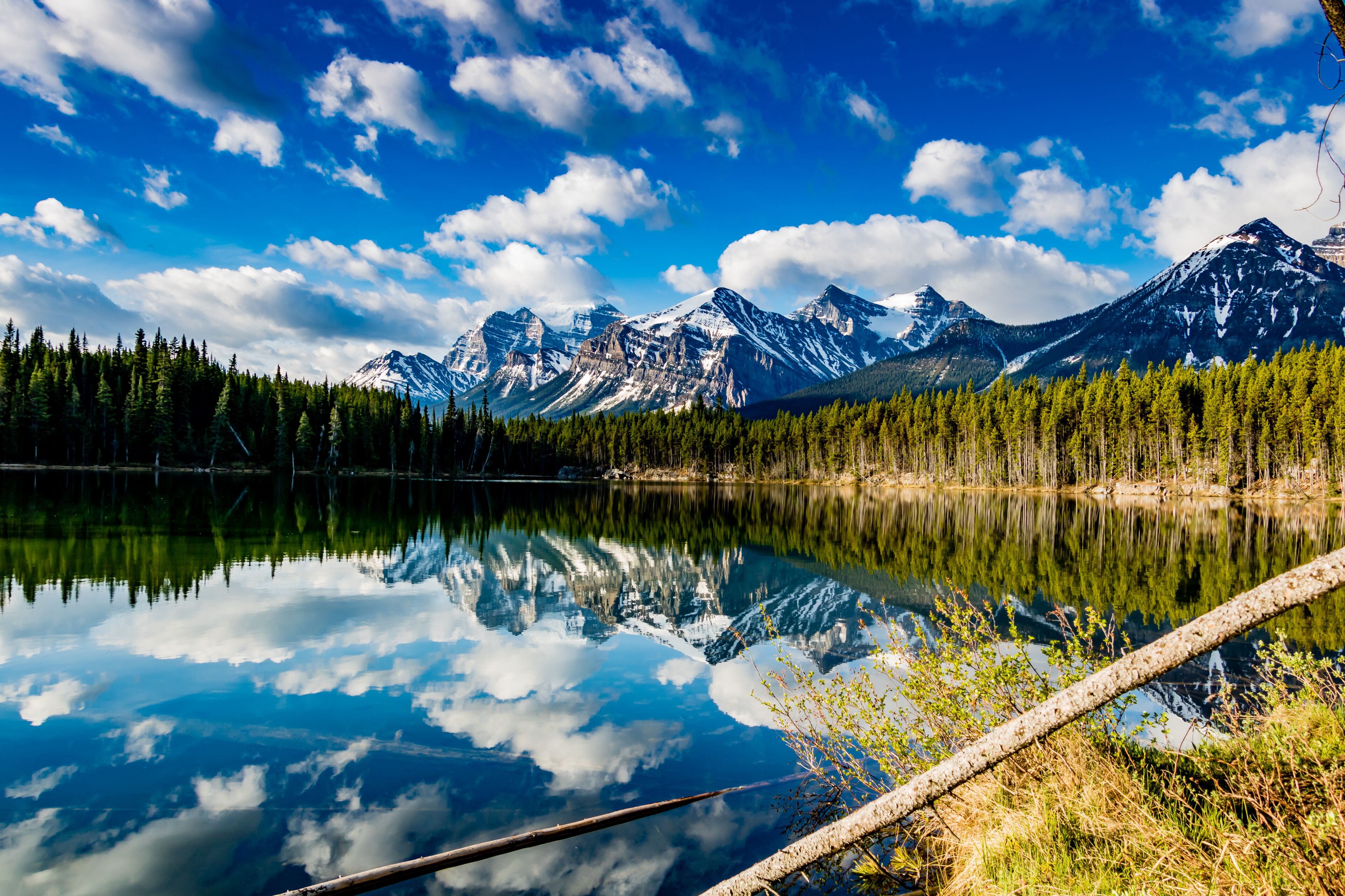 Herbert Lake