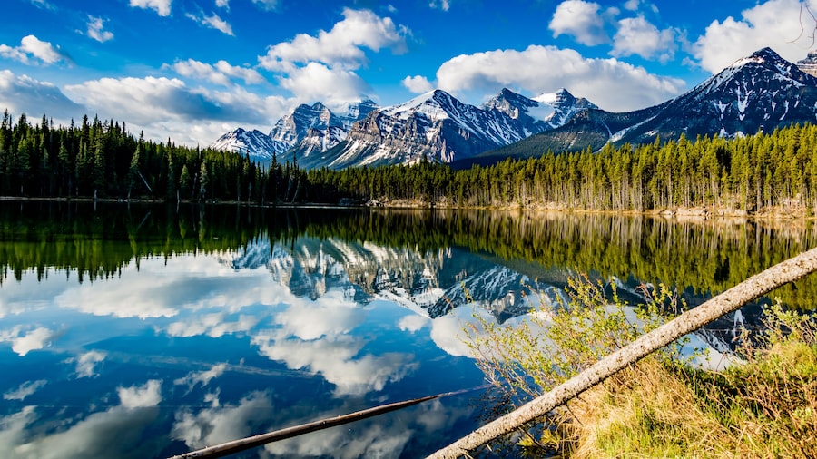 Herbert Lake
