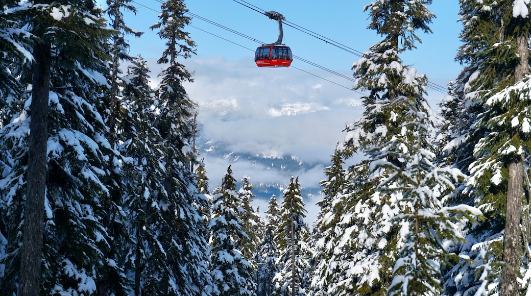 Teleférico Peak 2 Peak
