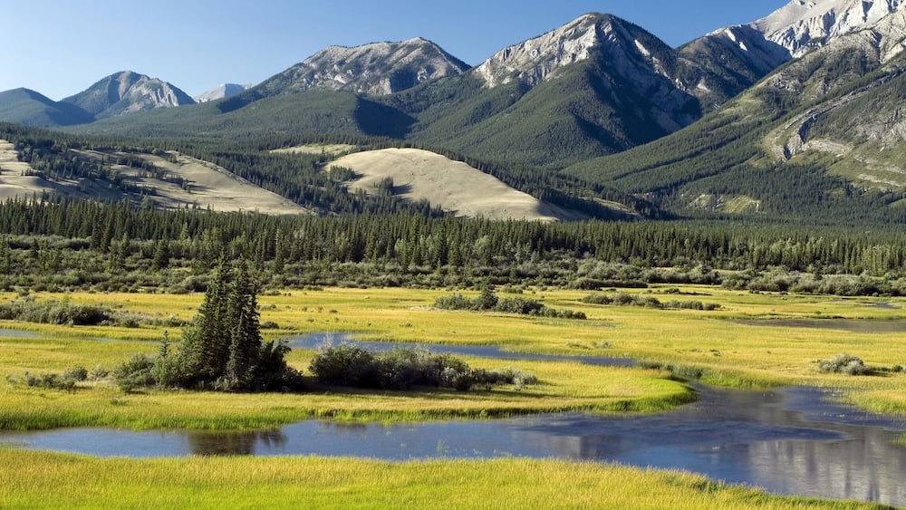 Montane wetlands Pocahontas Ponds along Athabasca River Athabasca Valley Jasper National Park Alberta Canada