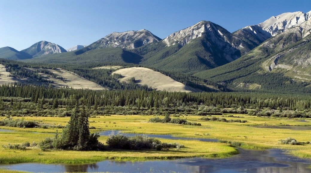 Montane wetlands Pocahontas Ponds along Athabasca River Athabasca Valley Jasper National Park Alberta Canada