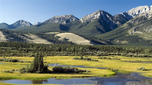Montane wetlands Pocahontas Ponds along Athabasca River Athabasca Valley Jasper National Park Alberta Canada