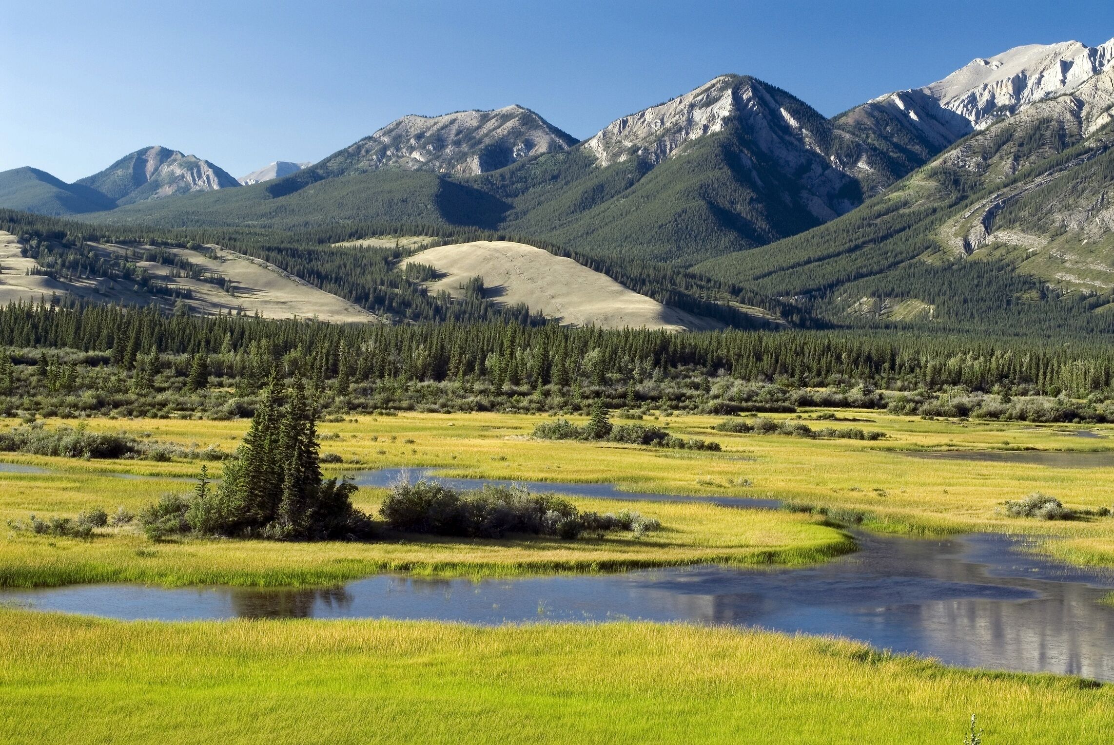 A mountainous landscape with a river, grassy fields, and a forested area.