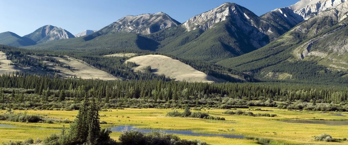 A mountainous landscape with a river, grassy fields, and a forested area.