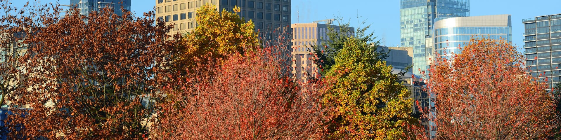 Vancouver city skyline and Harbour Centre Tower, Vancouver, BC