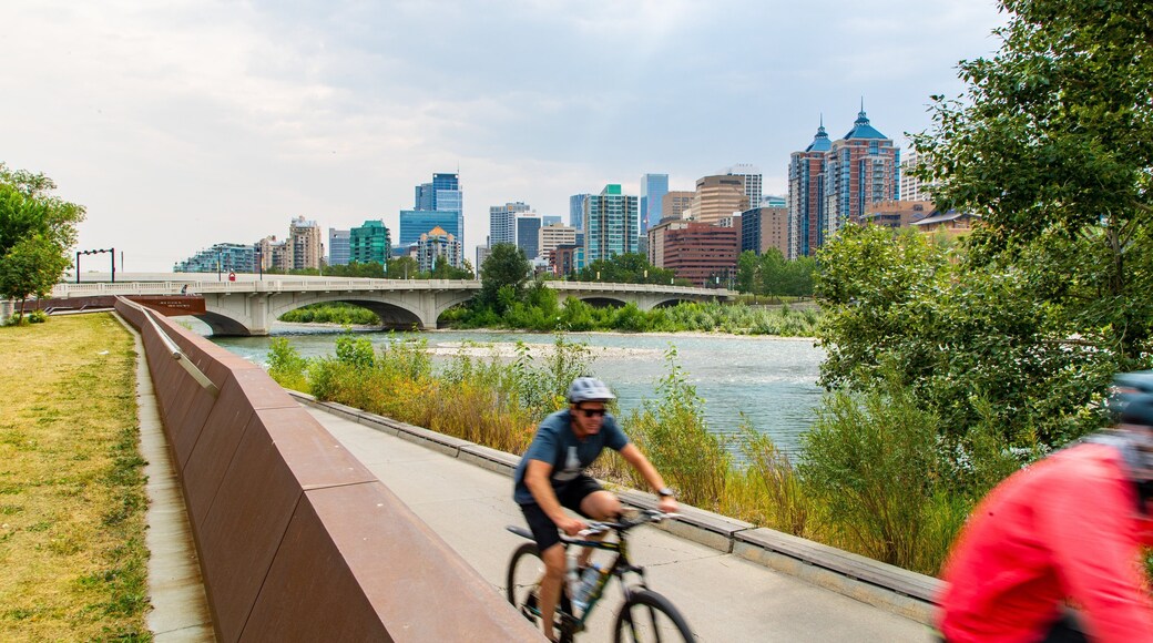 Bow River showing a bridge, cycling and a river or creek