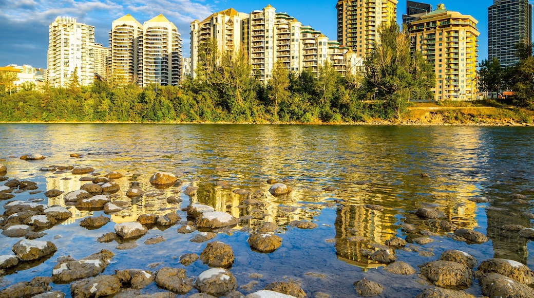 Bow River featuring a river or creek and a city