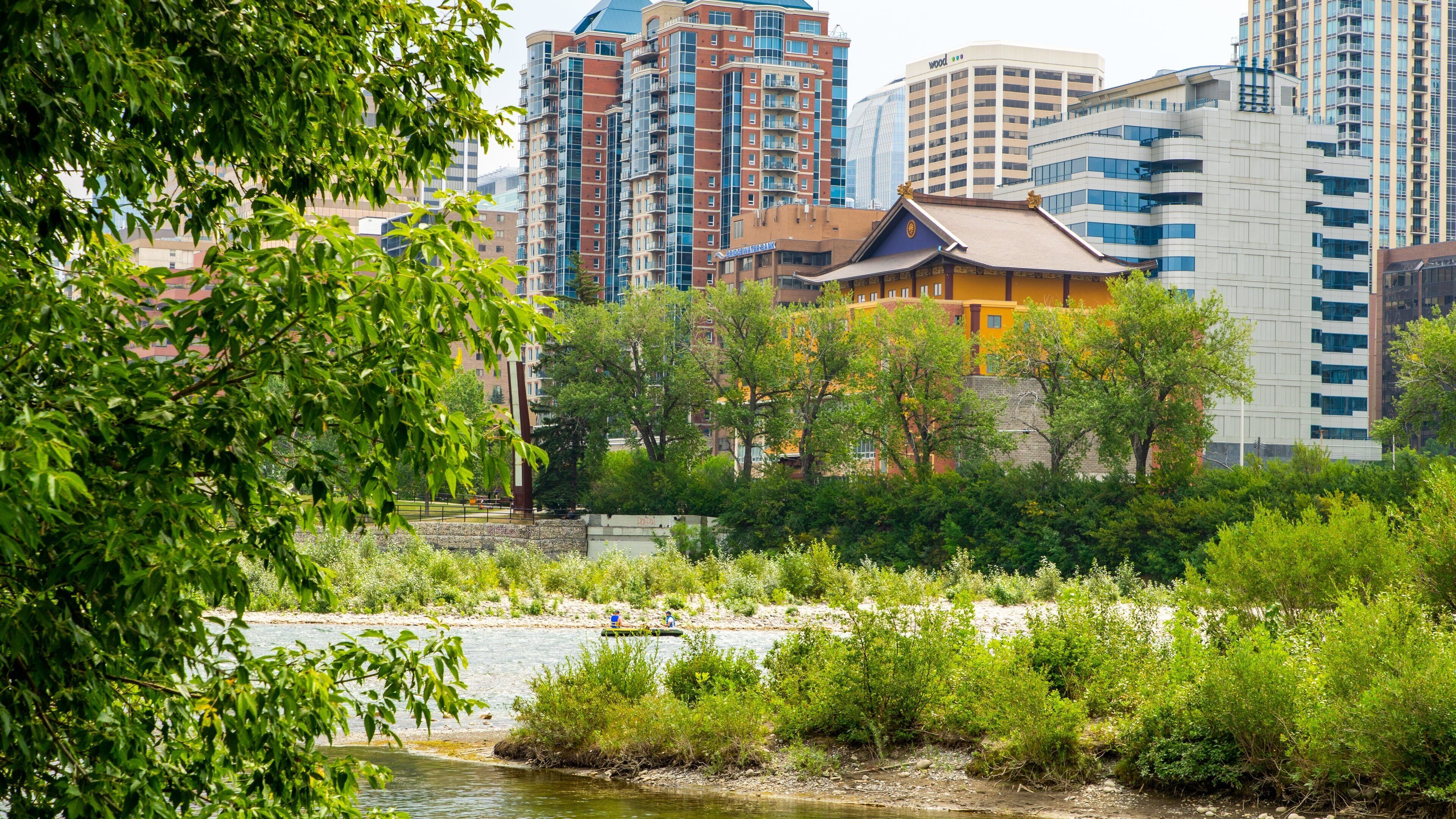 Bow River showing a river or creek and a city