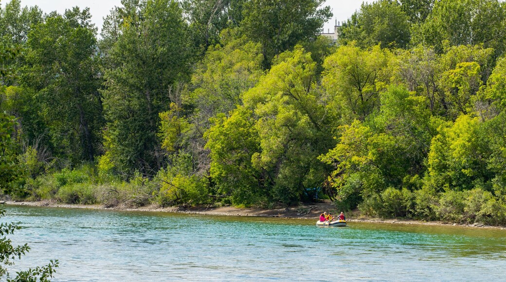 Bow River which includes boating and a river or creek as well as a small group of people