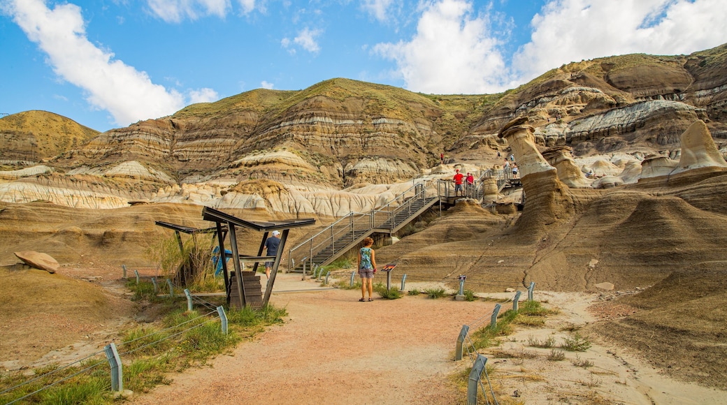 Drumheller Hoodoos showing a gorge or canyon and mountains