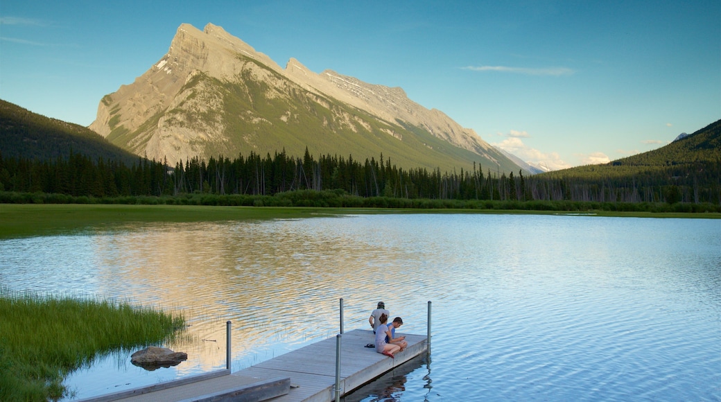 Vermilion Lakes showing wetlands, mountains and a lake or waterhole