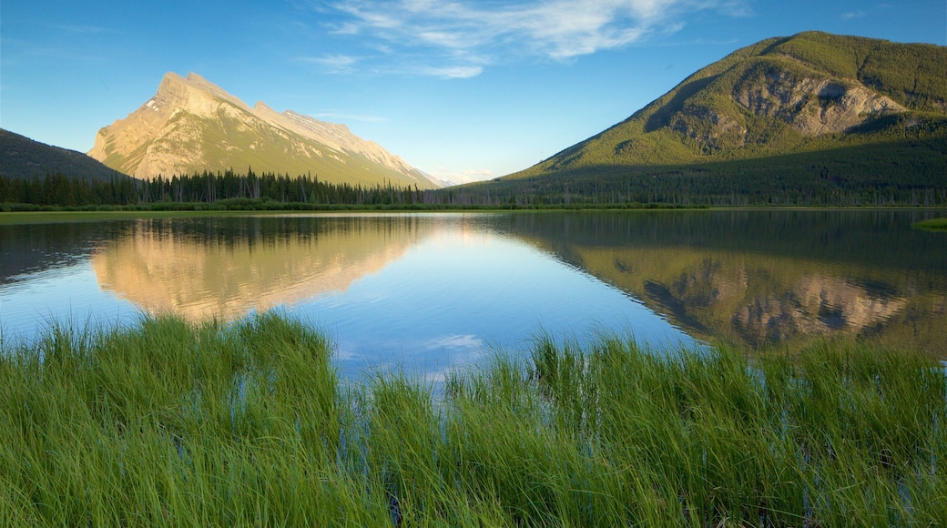 Banff which includes mountains, wetlands and a lake or waterhole