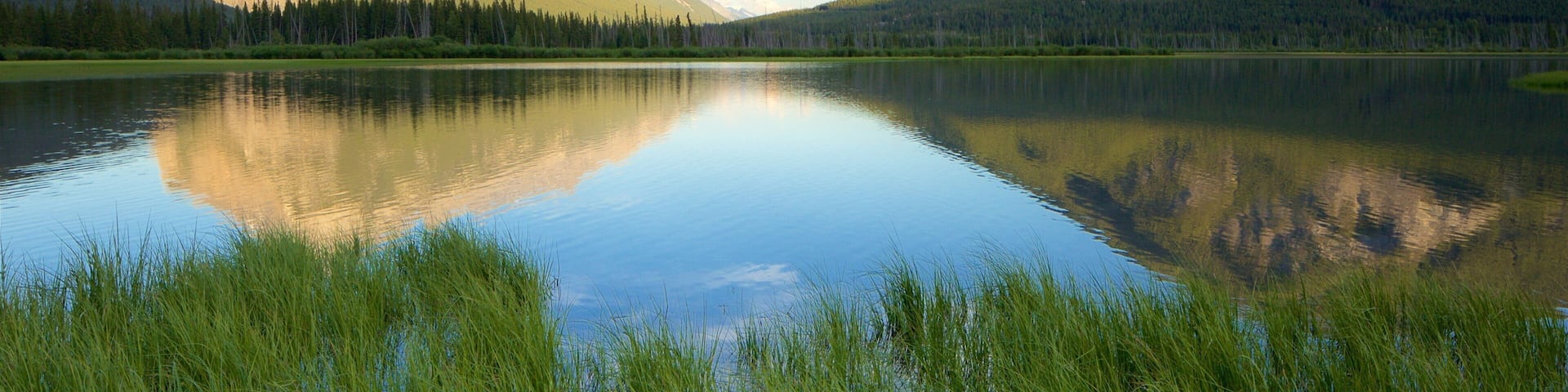 Banff montrant panoramas, zone humide et lac ou étang
