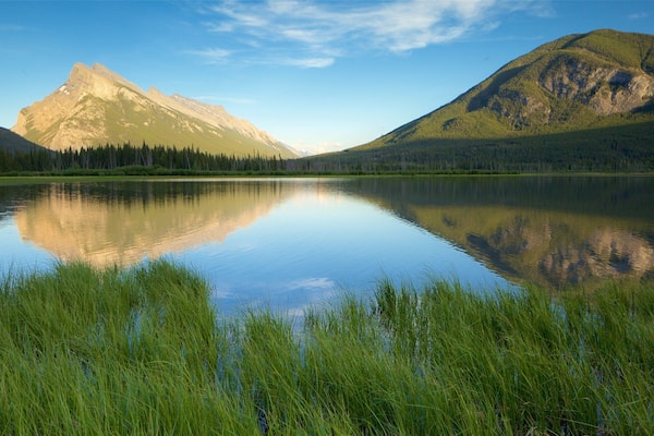 Banff montrant panoramas, zone humide et lac ou étang