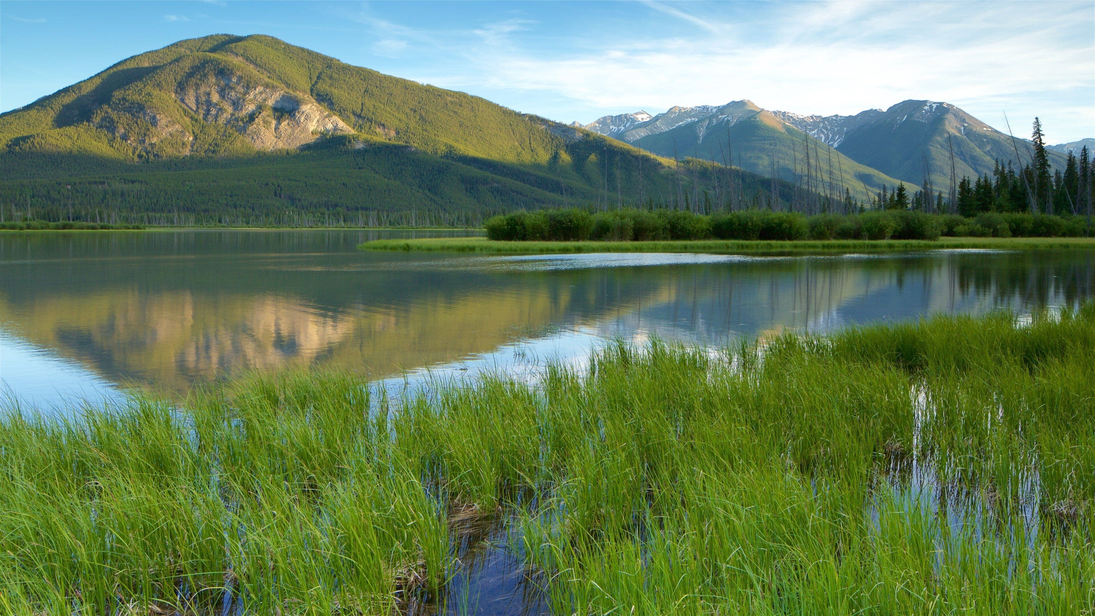 A calm lake surrounded by lush green grass and mountains.