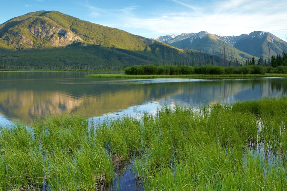 A calm lake surrounded by lush green grass and mountains.