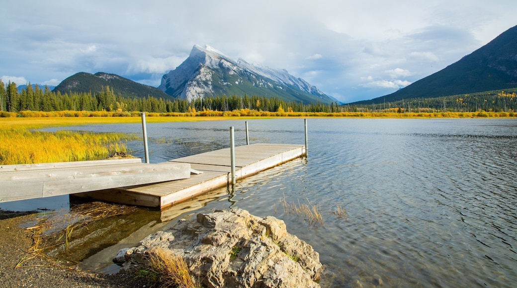 Vermilion Lakes which includes a lake or waterhole