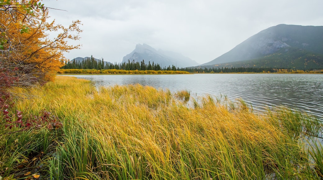 Vermilion Lakes which includes mist or fog, a lake or waterhole and mountains