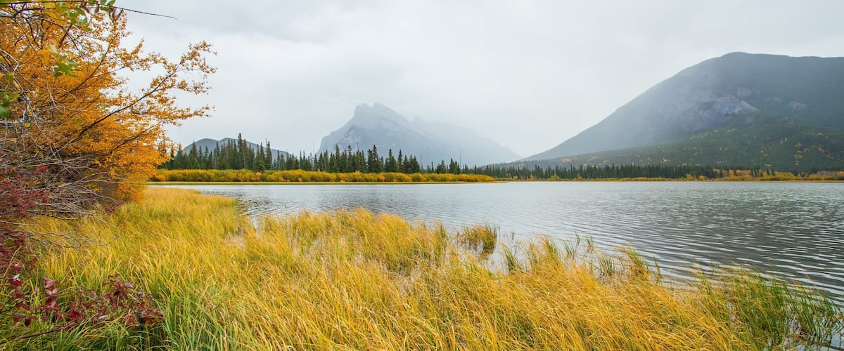 Vermilion Lakes which includes mist or fog, a lake or waterhole and mountains