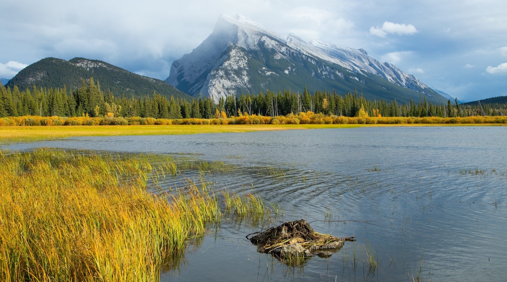 Vermilion Lakes showing a lake or waterhole, mountains and mist or fog