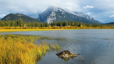 Vermilion Lakes showing a lake or waterhole, mountains and mist or fog