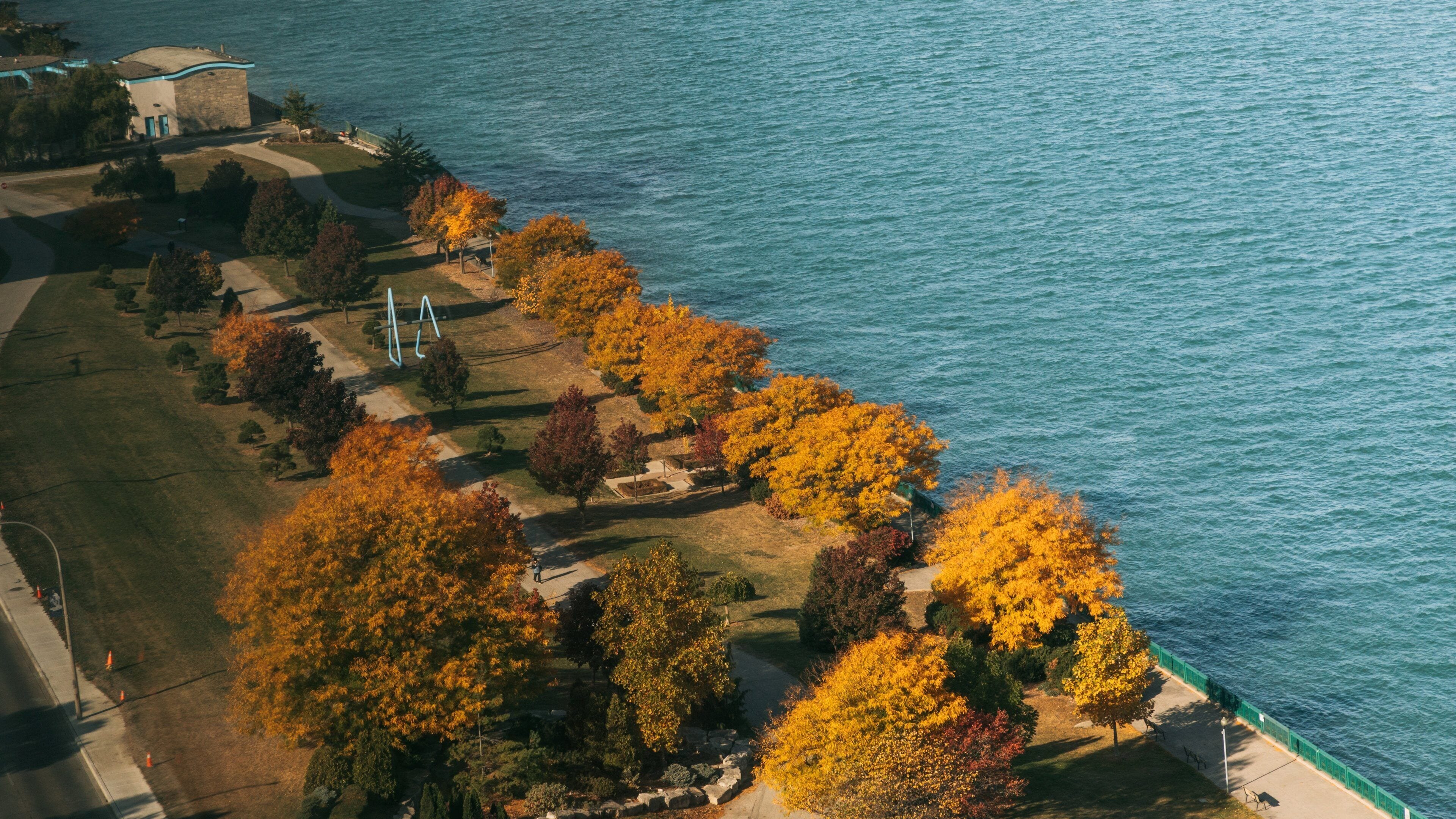 An aerial view of a coastal area with autumn-colored trees, a grassy park, and a body of water.