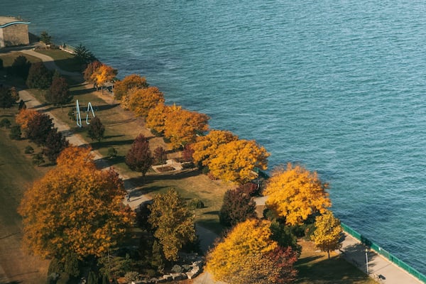 Vue aérienne d’une zone côtière, avec des arbres aux couleurs automnales, un parc verdoyant et une étendue d’eau.
