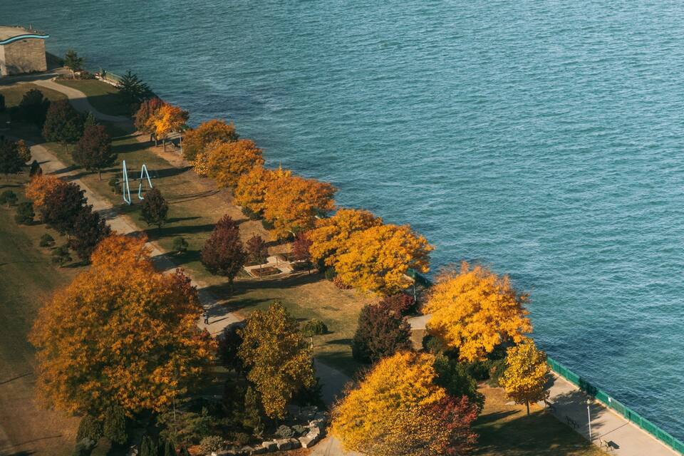 An aerial view of a coastal area with autumn-colored trees, a grassy park, and a body of water.