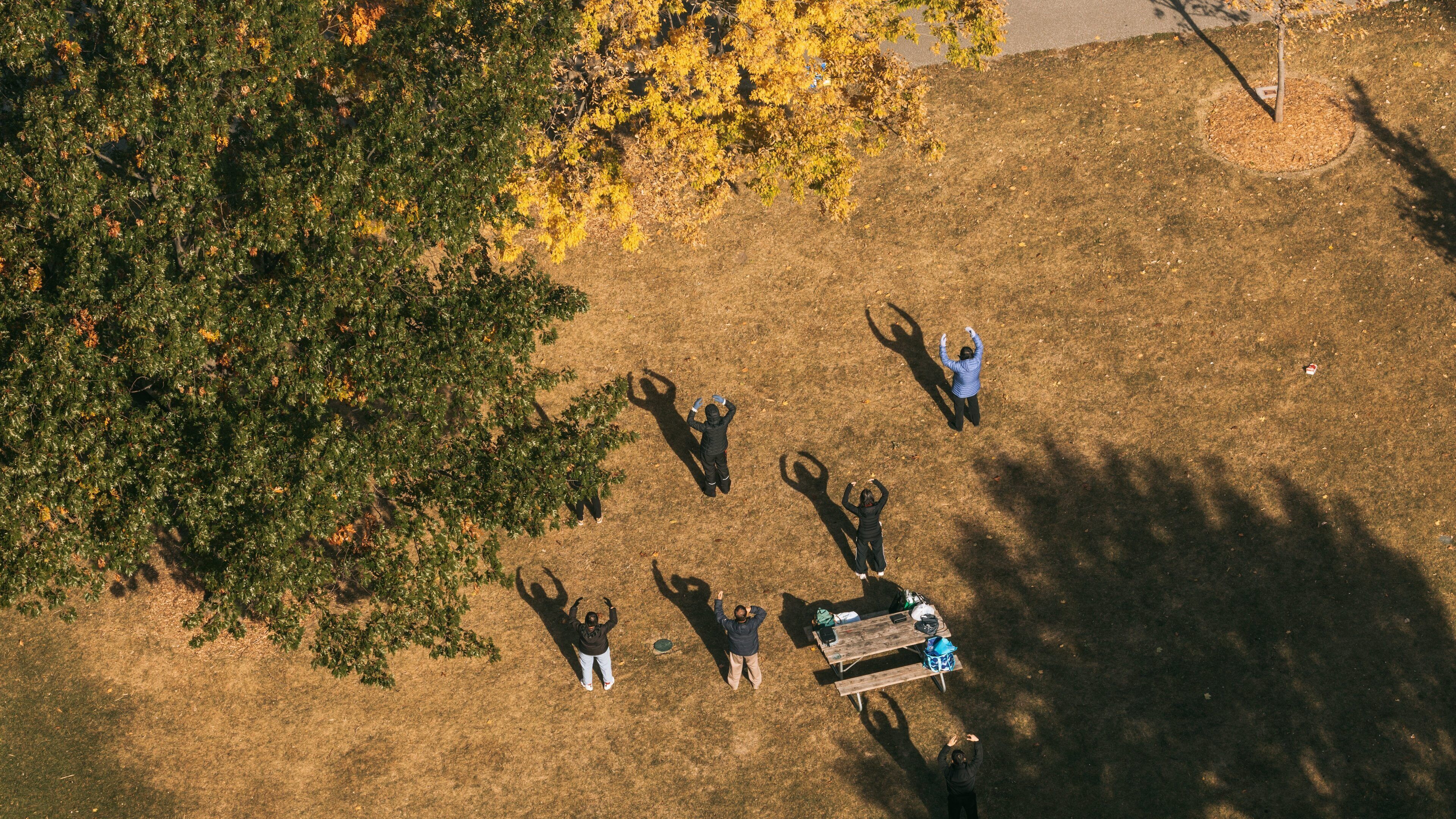 Dieppe Gardens featuring a garden as well as a small group of people