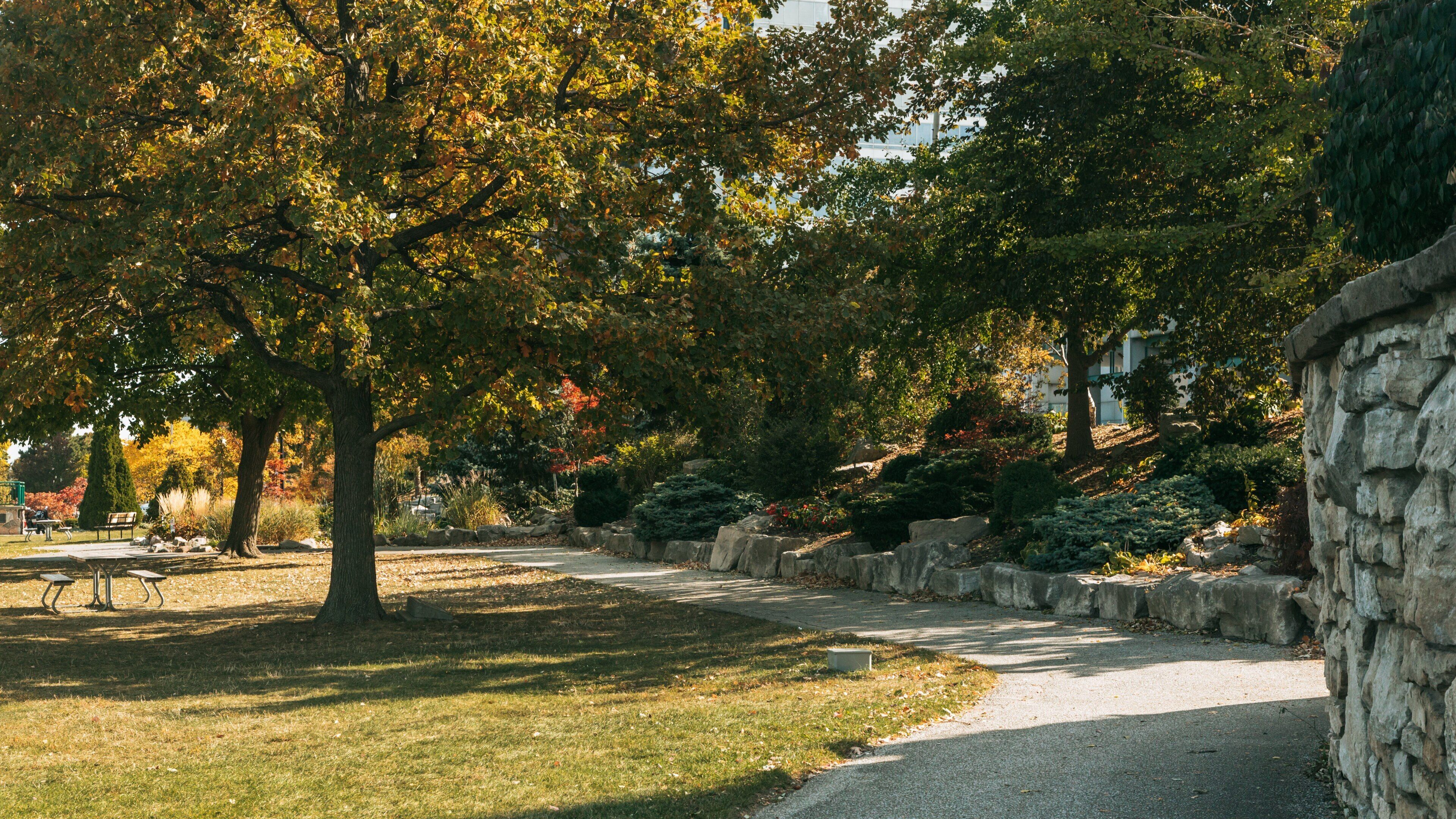 Dieppe Gardens featuring a park