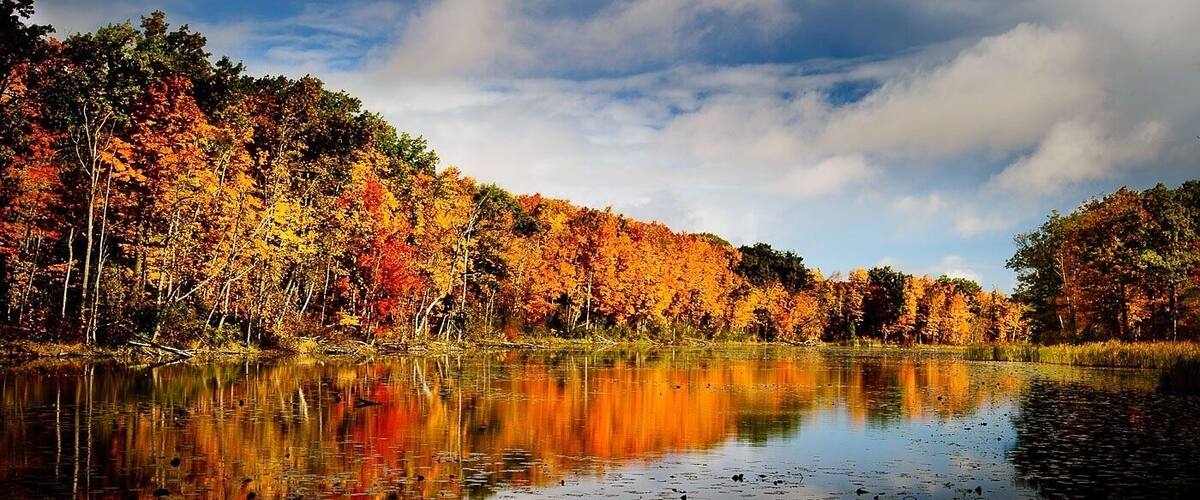 Fall colours.