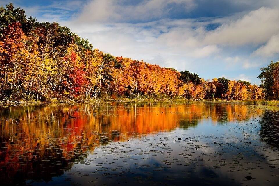 A calm lake reflecting autumn foliage, surrounded by a dense forest.