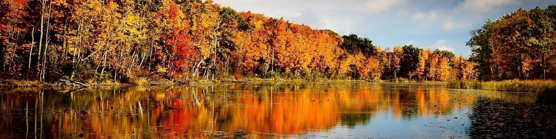Fall colours.