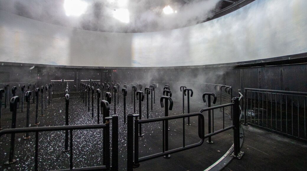 Niagara\'s Fury showing interior views