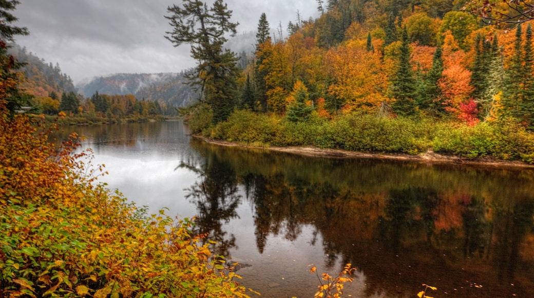 アガワ キャニオン ツアー とれいん