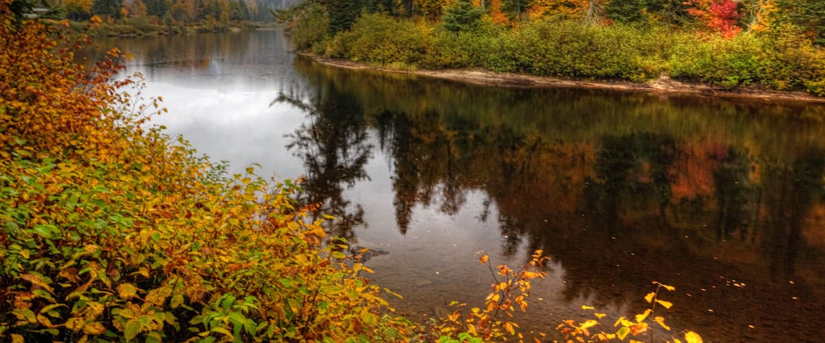 Colors of fall at Agawa Canyon, Canada