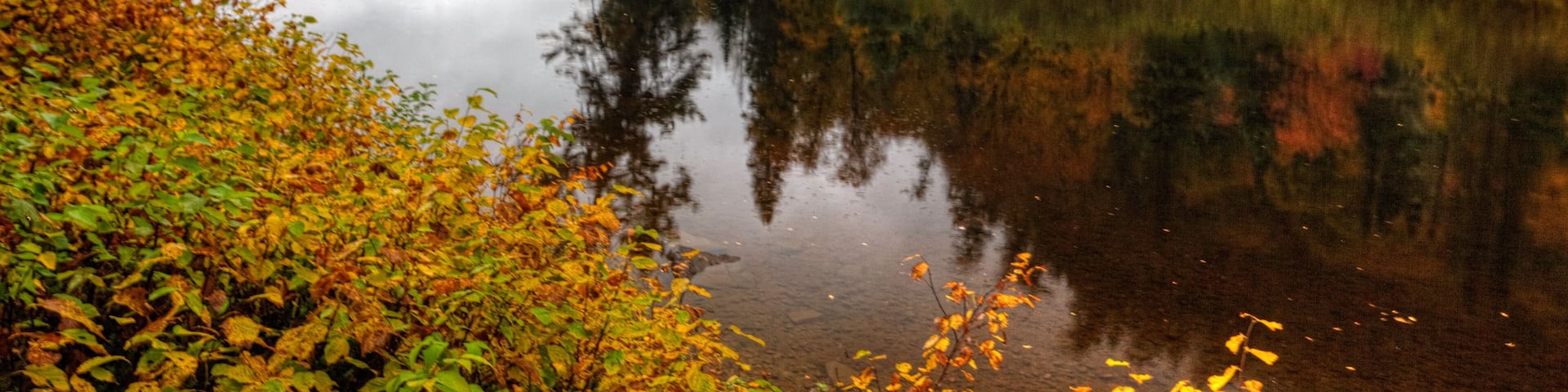 Colors of fall at Agawa Canyon, Canada