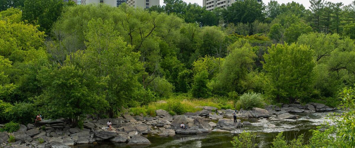 Hog\'s Back Falls which includes a river or creek