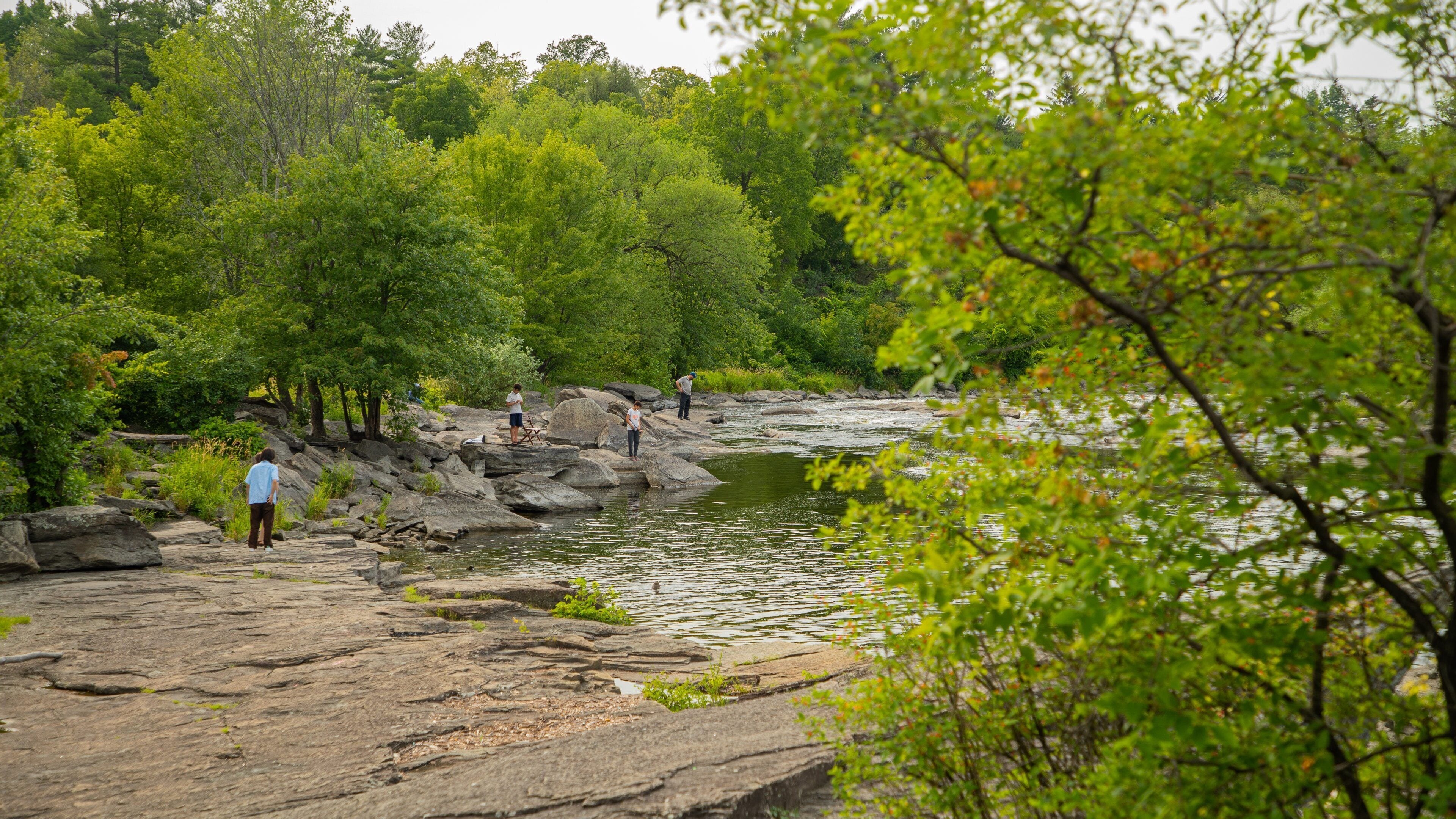 Hog\'s Back Falls featuring a river or creek