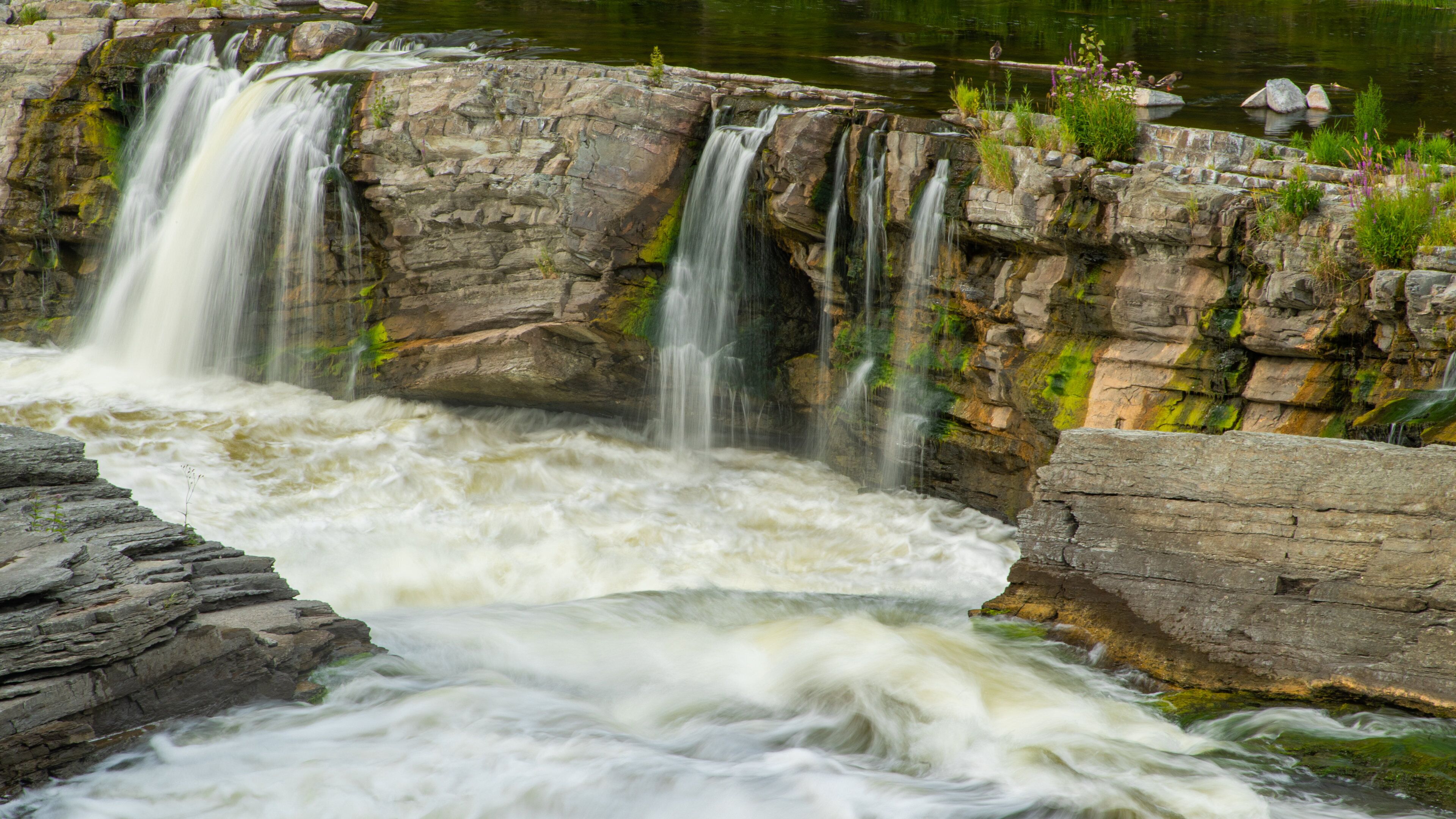 Hog\'s Back Falls featuring rapids, a waterfall and a river or creek