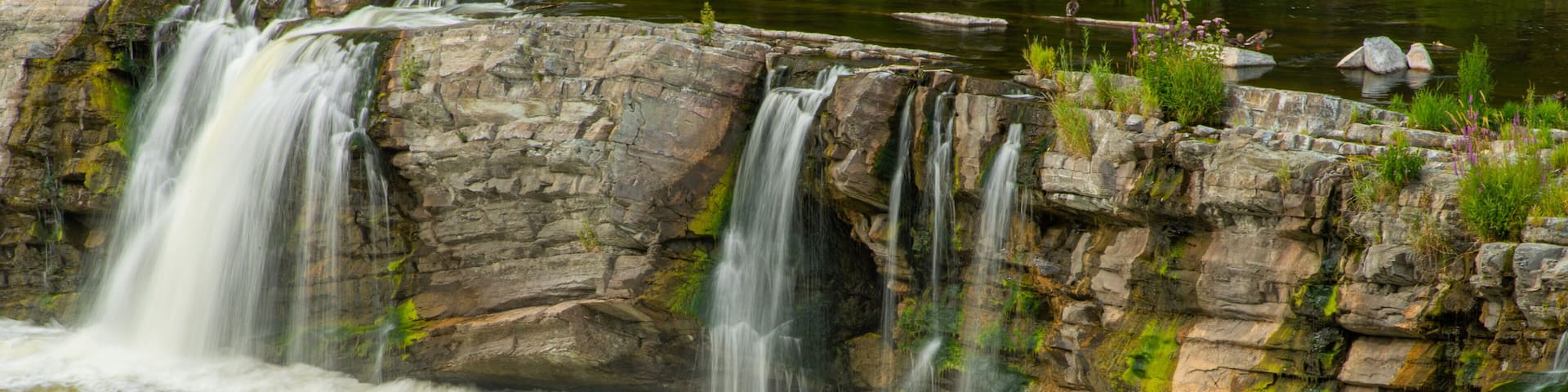 Hog\'s Back Falls featuring rapids, a waterfall and a river or creek
