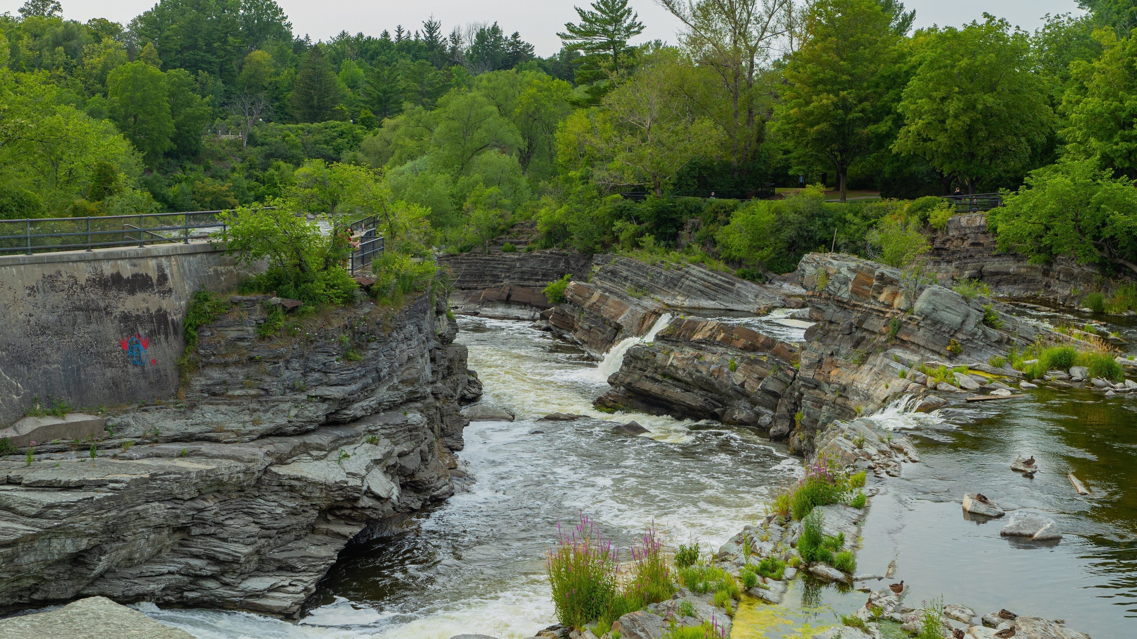 A rocky river with a bridge and lush greenery.