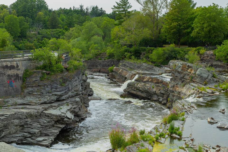 A rocky river with a bridge and lush greenery.