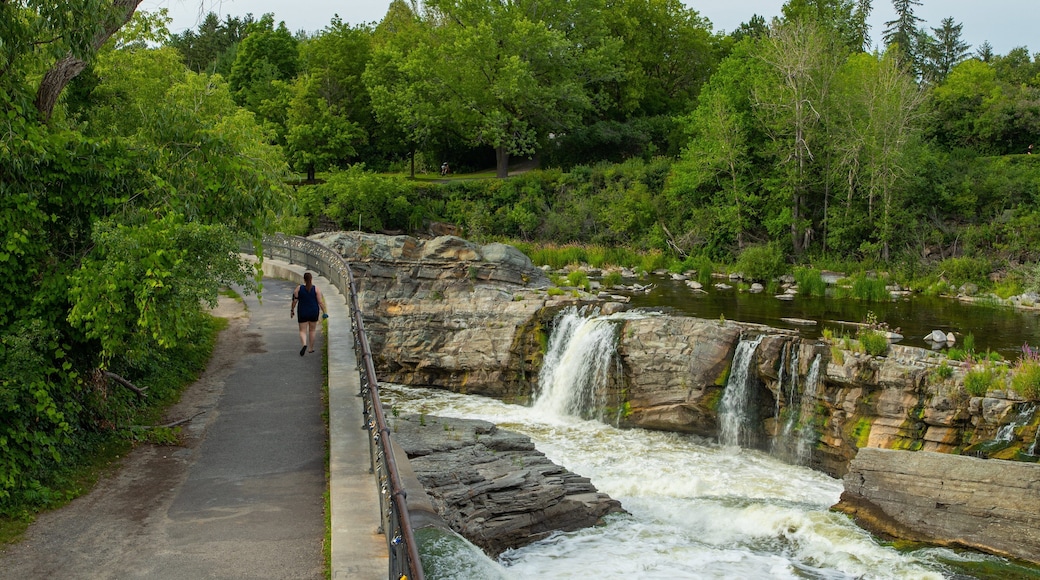 Hog\'s Back Falls featuring rapids and a river or creek as well as an individual male