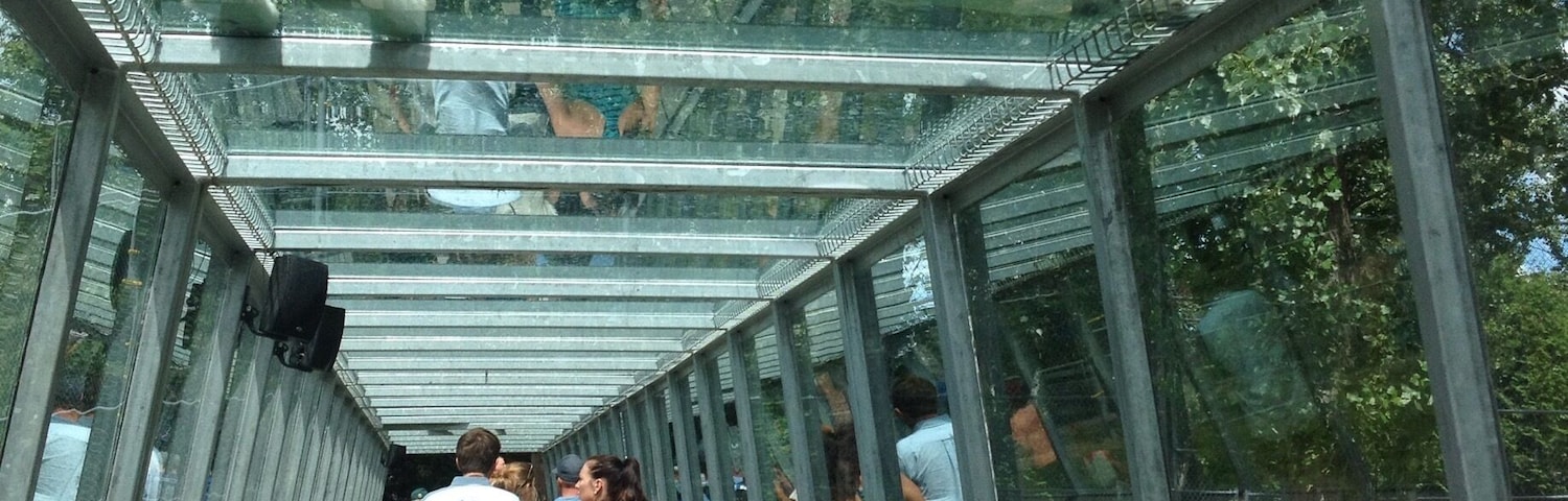 Safari Park; where you can go on a safari with your own car & see/feed/touch animals from all over the world. There is a small waterpark on the site too.
Picture; White lions
#weekendgetaway